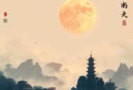 金主请独宠