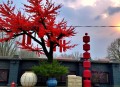 传统医学《明目功》：从根源调理，科学养护眼睛健康