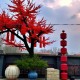 传统医学《明目功》：从根源调理，科学养护眼睛健康