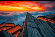 从东北歌坛出道，制霸娱乐圈 _ 年代娱乐文 _ 无系统 _ 歌曲超多
