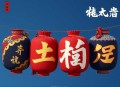 偷窥一百二十天_蔡骏原著，改编网剧《通天塔》