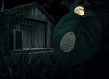 庭外.指纹.演播白夜剧场
