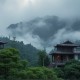 如果我们无法以光速前行丨金草叶作品丨阿来、刘慈欣、戴锦华联袂推荐
