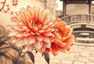 一朵菊花压海棠.广播剧