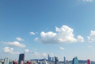 超禁忌游戏（章鱼合集版 181）（完结）