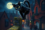 贼猫