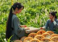 寒门嫡女有空间 穿越种田 一念成馍&曲音静子 多人有声剧完结