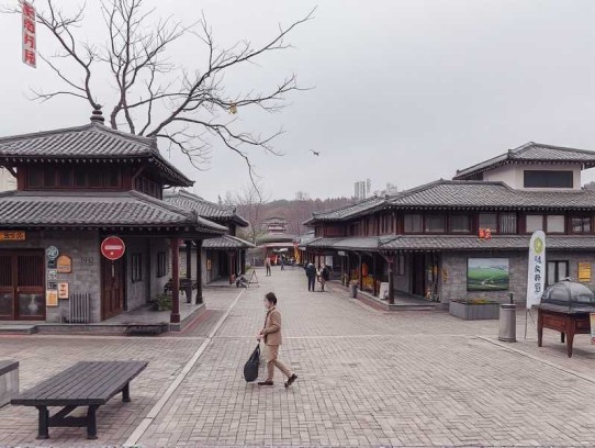 近朱者赤，近你者甜丨多人演绎励志女性的奋斗和爱情