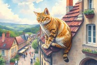 回到过去变成猫