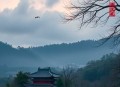 皇家小二货（妙儿姐领衔爆笑玄幻甜宠多人剧）