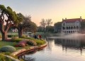 湖畔大学