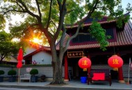 爱情反应堆丨一部揭露男人隐秘世界的忏悔录丨两性关系、情感伦理