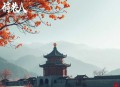 一个叫欧维的男人决定去死_提名奥斯卡_豆瓣9.2分
