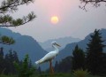 四岁小奶团，首辅全家宠上天_古言_脑洞_爆笑_夏立&赵羞涩_多人有声剧
