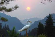 四岁小奶团，首辅全家宠上天_古言_脑洞_爆笑_夏立&赵羞涩_多人有声剧