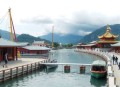出名太快怎么办