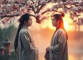 双生梅.广播剧（全一期）