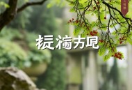 万道剑尊丨玄幻修仙超爽多人有声剧