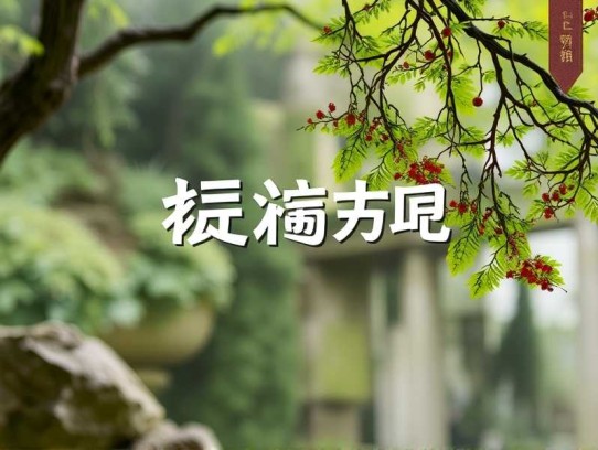 万道剑尊丨玄幻修仙超爽多人有声剧