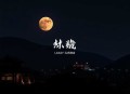 《今宵有酒》_粥小九现代言情_悬案推理