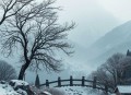 世间的因丨原央视主持人吉雪萍跨越极致痛苦，写就的疗愈之书丨生命中的丧失与修复