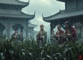 恰逢雨连天 古风权谋精品 篛藜 辰羽 毁音绅士领衔  完结