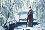 辞金枝_冬天的柳叶_奥利奥、云天河领衔_古言大女主_多人有声剧