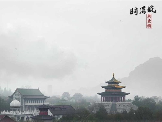 龙婿至尊｜｜陈阳的上门龙婿｜赘婿文