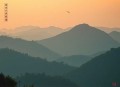 重生之药香大神作家希行原著 女主重生逆袭清灵领衔多人有声剧  完结