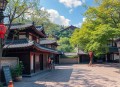 医学院的月光