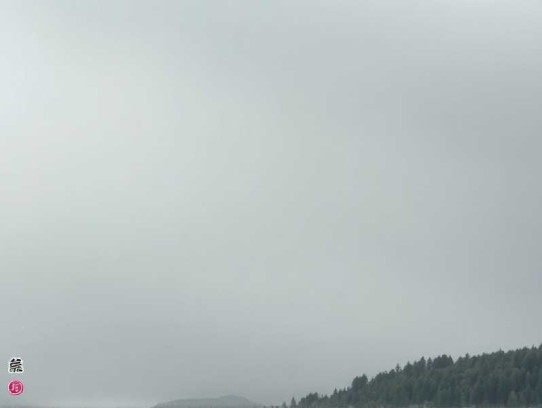 大唐：开局成了公主驸马丨历史穿越丨搞笑爽文