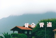 直播洗车，我被全网怀疑是卧底_沙雕爆笑&稽查系统
