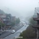 妻不厌诈：娄爷，我怀了你的崽 _现言甜宠_豪门总裁