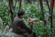 直播算命太准，全网蹲守吃瓜 _ 摆摊算命 _ 脑洞 _ 悬疑 _ 爽文 _ 加菲 _ 多人有声剧
