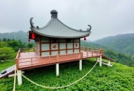 道北名门_张之沪著_社会纪实