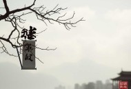 折腰丨宋祖儿主演同名影视原著丨徐佳琦X许言领衔丨蓬莱客著丨先婚后爱古言甜宠多人剧