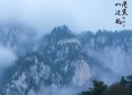 掐指一算，又得找大佬亲亲续命_轻灵异_直播_系统_多人有声剧_类玄门卦象