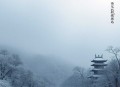 护国龙婿_萧战，穆如雪_狂婿爽文