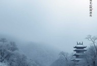 护国龙婿_萧战，穆如雪_狂婿爽文