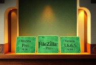 FTP FileZilla_Pro_3.66.5_64bit_Green