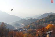世界最具影响性文坛巨匠(4)_毕加索、梵高的传奇