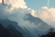 末世种田！起点科幻No.1_天灾第十年跟我去种田 _ 倔强的小红&阿琳达