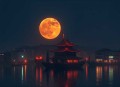 不灭青莲｜无敌玄幻爽文｜司徒领衔演播多人有声剧