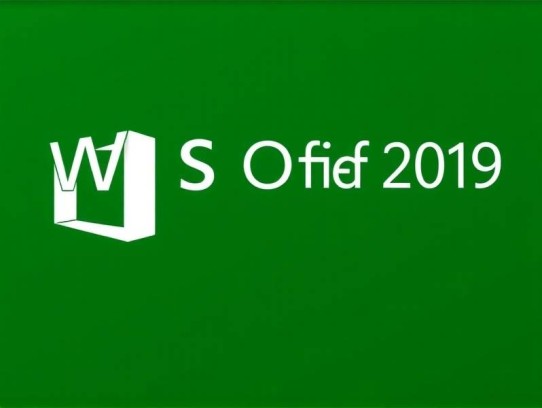 WPS Office 2019 v11.8.2.11813 专业增强版（内置序列号激活）
