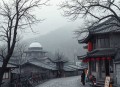 翼点良辰｜青梅竹马小甜文｜悬疑都市多播