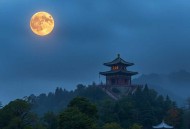 邪王追妻之逆天懒妃_古言_甜宠_精品多人有声剧