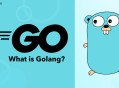 go语言经典项目开发全流程：双token博客系统