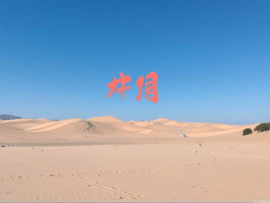 卫斯理系列-巫艳