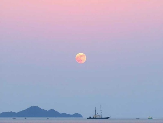 光阴之外_耳根玄幻仙侠霸榜神作_成长流仙逆一念永恒