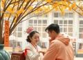 断簪记【巷子_叶听风_雅居多人】